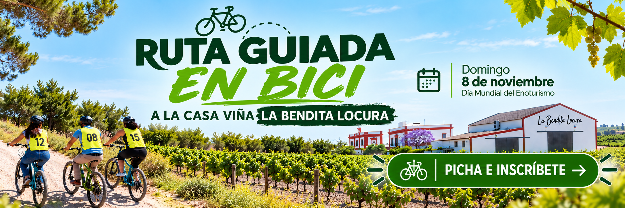 Ruta Guiada en Bici por Viñedos